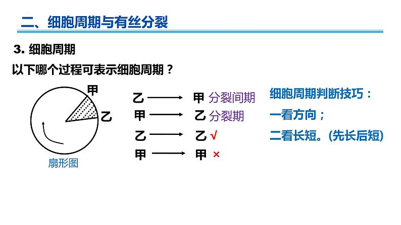 广东省普通高中生物学业水平考试 学考复习课件——第六章细胞的生命历程第7页