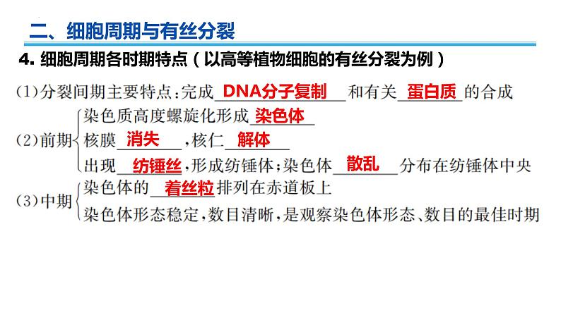 广东省普通高中生物学业水平考试 学考复习课件——第六章细胞的生命历程第8页