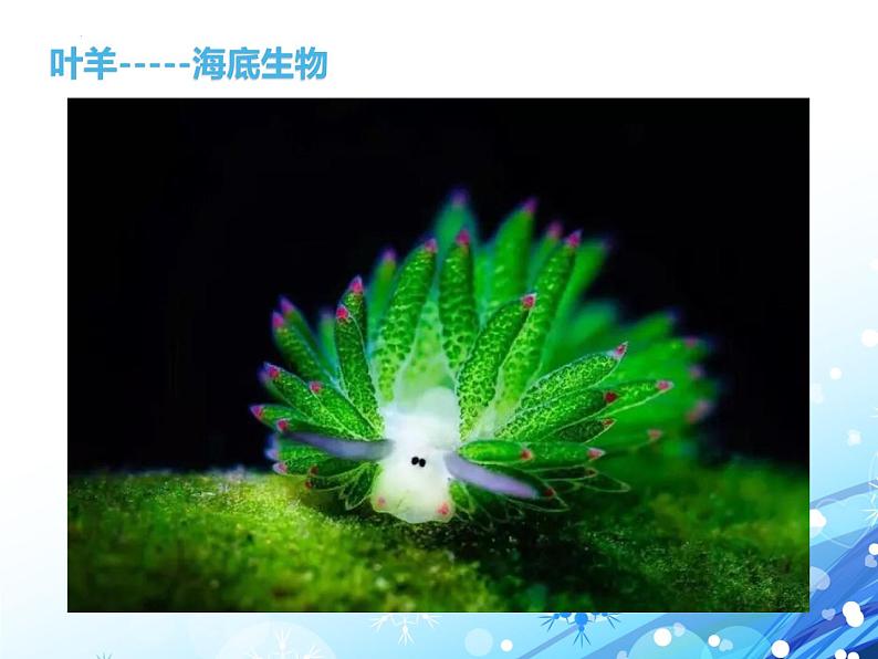 开学第一课 走进生物课件--高一上学期生物人教版（2019）必修102