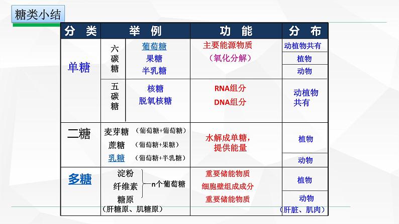 2.3 细胞中的糖类和脂质课件--高一上学期生物人教版（2019）必修108