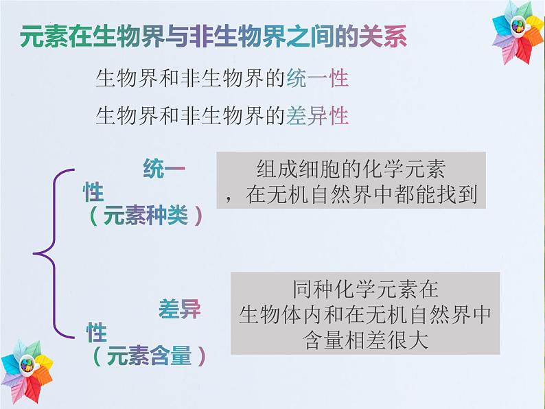 2.1细胞的元素与化合物课件--高一上学期生物人教版必修104