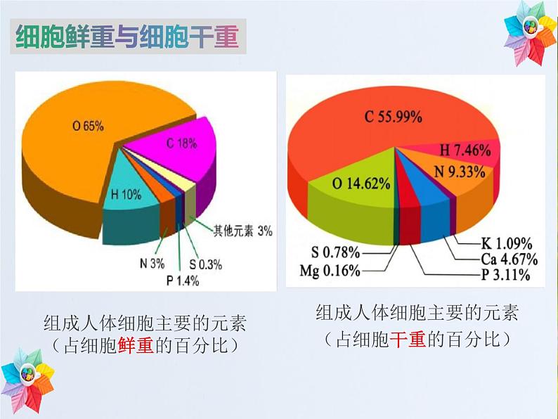 2.1细胞的元素与化合物课件--高一上学期生物人教版必修107