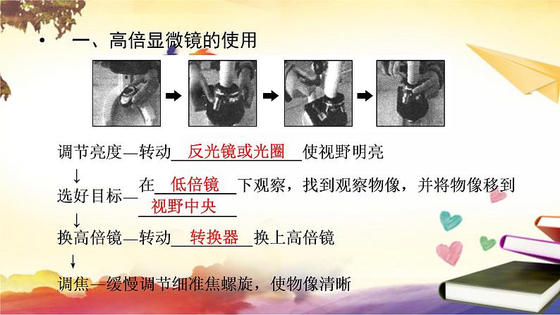 1.2细胞的多样性和统一性课件--高一上学期生物人教版必修1第6页