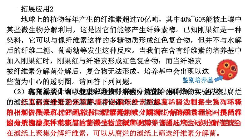 1.2微生物的培养技术及应用（二）课件--高二下学期生物人教版选择性必修3第5页