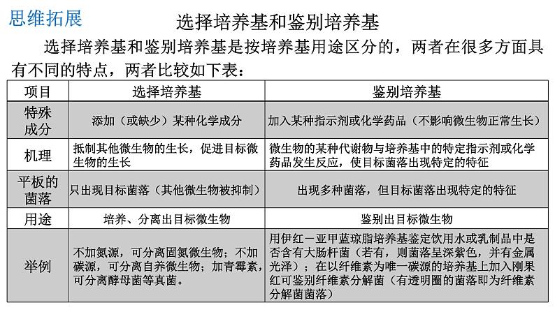 1.2微生物的培养技术及应用（二）课件--高二下学期生物人教版选择性必修3第6页