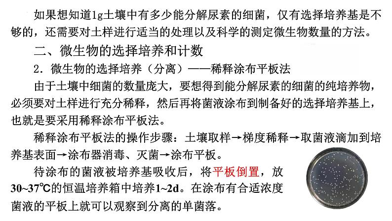 1.2微生物的培养技术及应用（二）课件--高二下学期生物人教版选择性必修3第7页