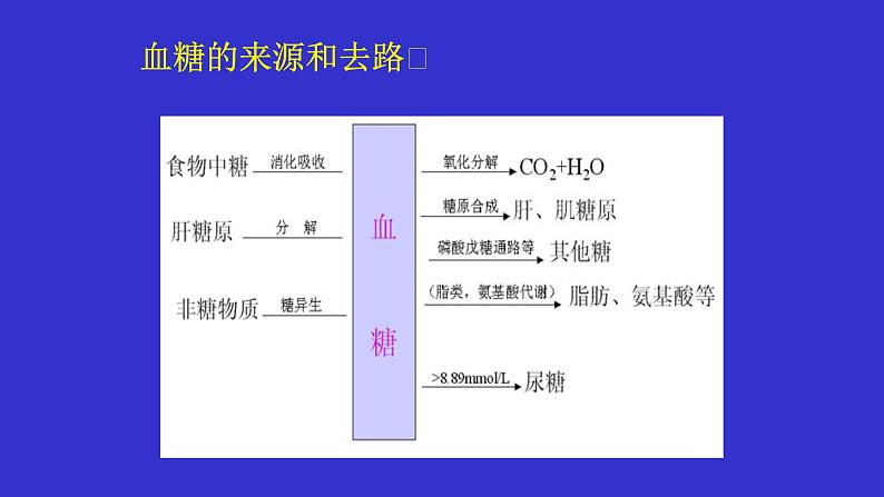 高中生物竞赛：糖代谢课件第3页