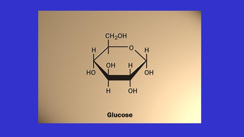 高中生物竞赛：糖代谢课件第5页