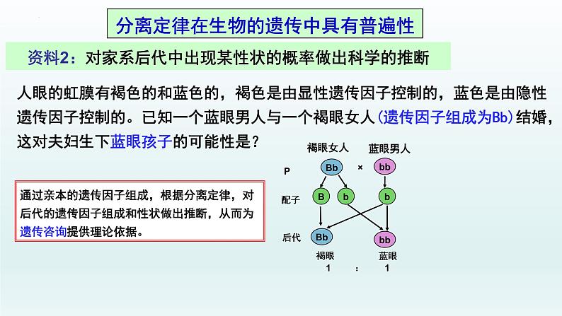 1.1孟德尔的豌豆杂交实验（一）（第2课时）课件--高一下学期生物人教版必修2第8页