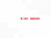 高考生物一轮复习第3讲细胞概述、细胞核及原核生物课件