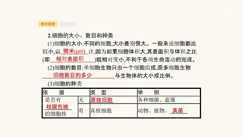 高考生物一轮复习第3讲细胞概述、细胞核及原核生物课件06