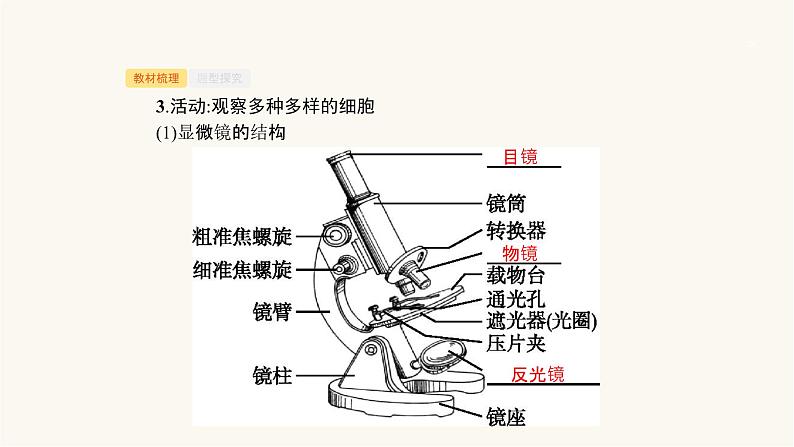 高考生物一轮复习第3讲细胞概述、细胞核及原核生物课件07