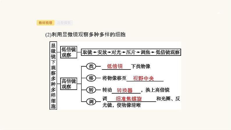 高考生物一轮复习第3讲细胞概述、细胞核及原核生物课件08