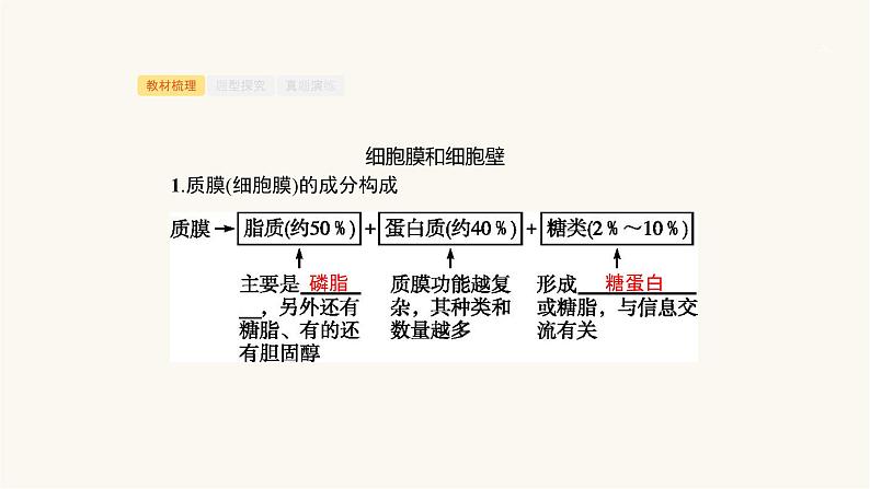 高考生物一轮复习第4讲细胞膜、细胞壁及细胞质课件03