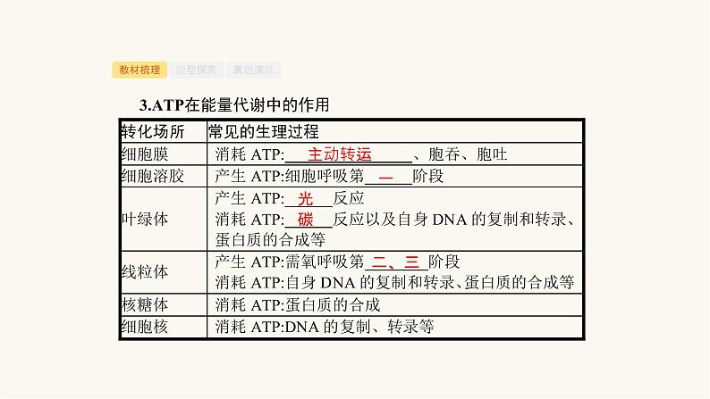 高考生物一轮复习第5讲细胞中的能量和酶课件06