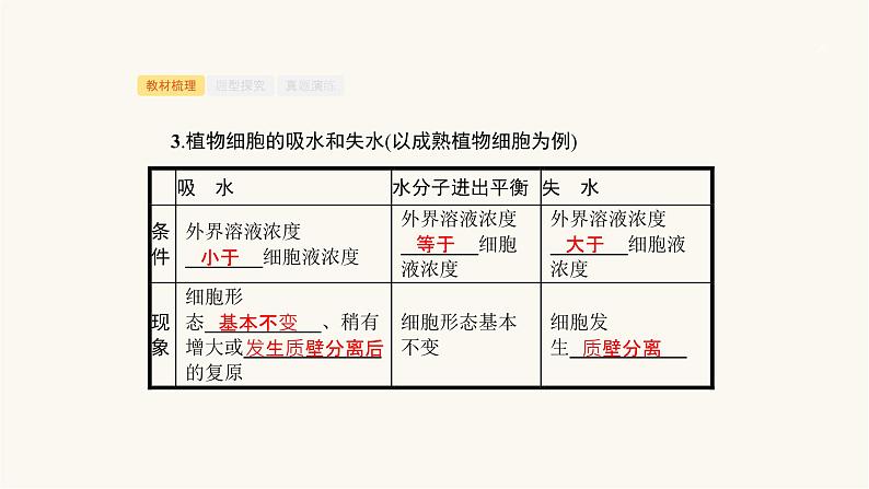 高考生物一轮复习第6讲物质出入细胞的方式课件05