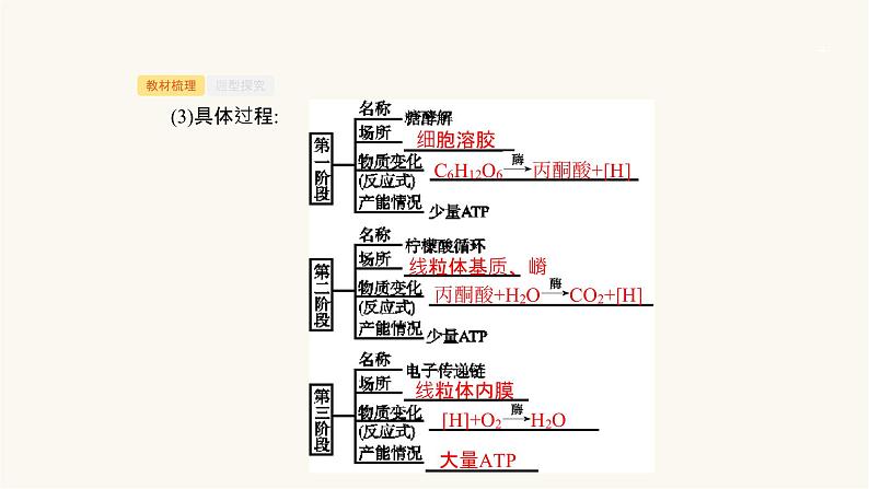 高考生物一轮复习第7讲细胞呼吸课件第4页