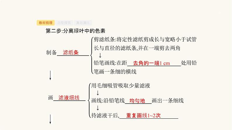 高考生物一轮复习第8讲光合色素与光合作用的基本过程课件07