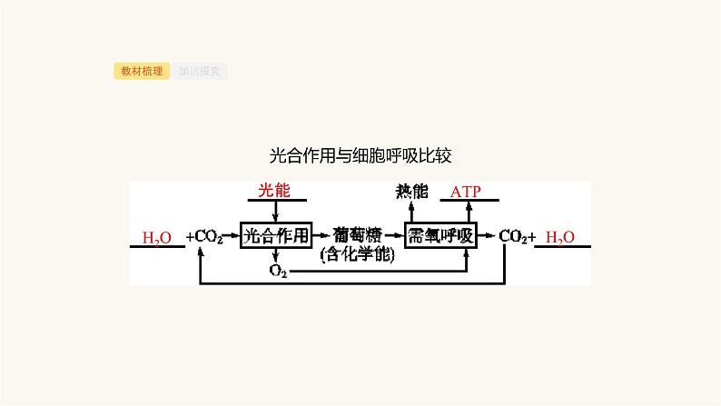 高考生物一轮复习第9讲环境因素对光合速率的影响及应用课件第3页