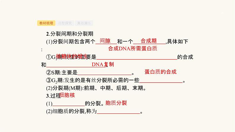 高考生物一轮复习第10讲细胞的增殖课件第5页