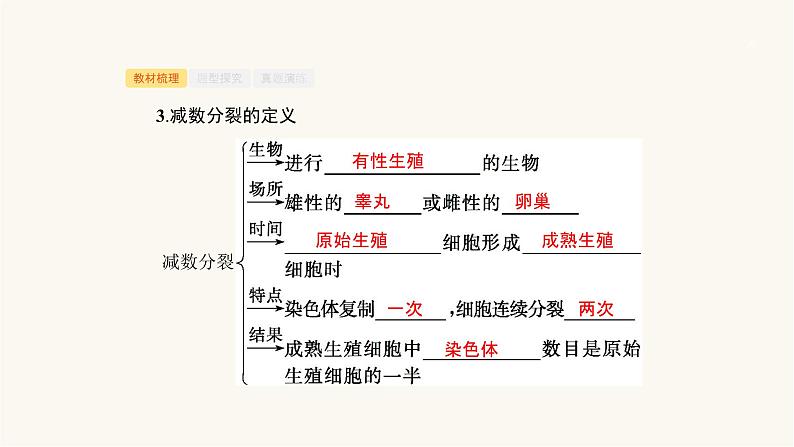 高考生物一轮复习第11讲减数分裂与受精作用课件05