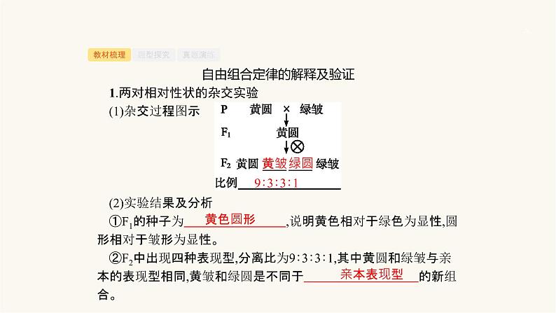 高考生物一轮复习第15讲自由组合定律ⅰ课件03