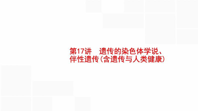 高考生物一轮复习第17讲遗传的染色体学说、伴性遗传（含遗传与人类健康）课件01