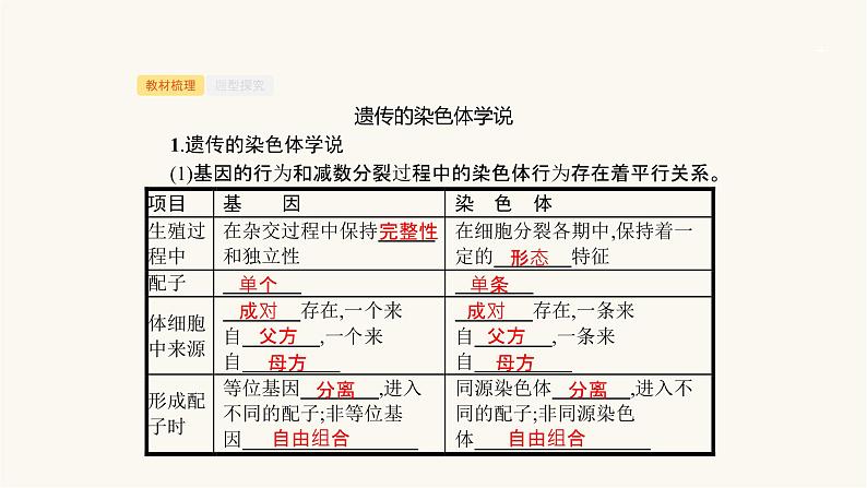 高考生物一轮复习第17讲遗传的染色体学说、伴性遗传（含遗传与人类健康）课件04