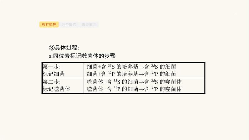 高考生物一轮复习第18讲核酸是遗传物质的证据、dna分子的结构和特点课件05