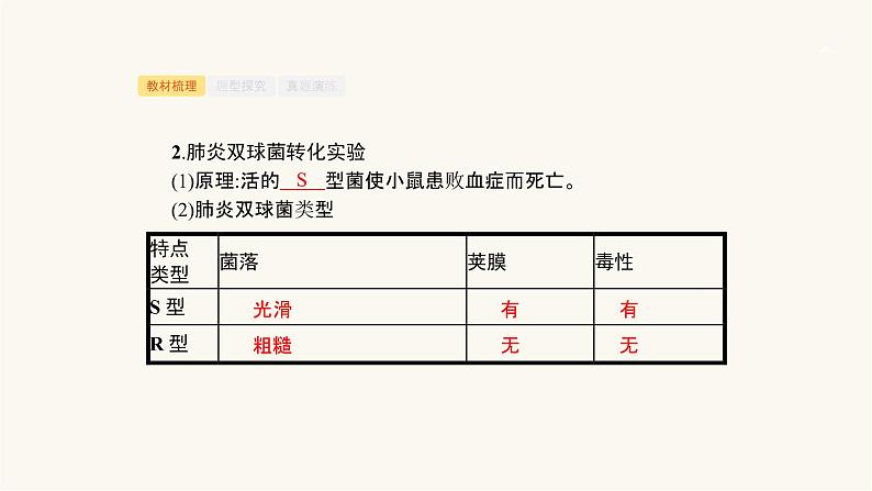 高考生物一轮复习第18讲核酸是遗传物质的证据、dna分子的结构和特点课件08