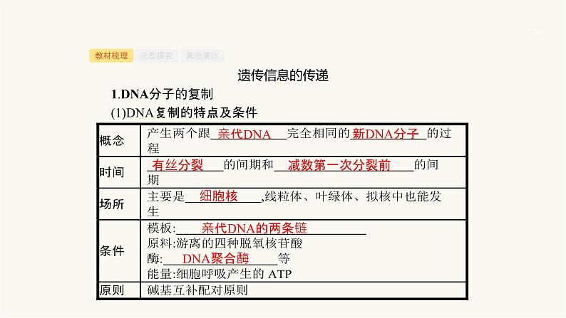 高考生物一轮复习第19讲遗传信息的传递和表达课件第3页