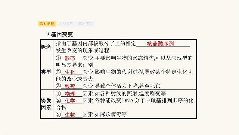 高考生物一轮复习第20讲生物的变异课件第6页