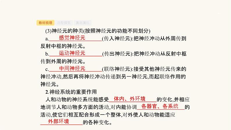 高考生物一轮复习第23讲神经系统的结构与功能ⅰ课件第4页