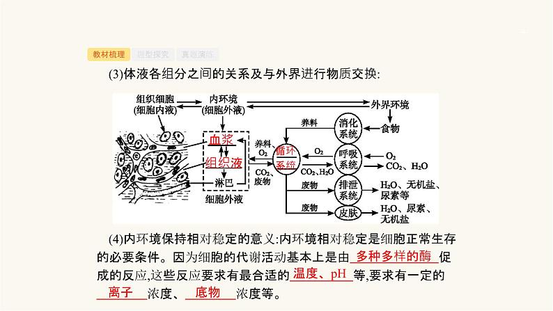 高考生物一轮复习第25讲高等动物的内分泌系统与体液调节课件04