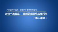 广东省普通高中生物学业水平考试 学考复习课件——第五章细胞的能量供应和利用（第二课时）