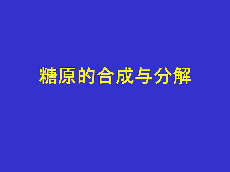 高中生物竞赛糖原的合成与分解课件第1页