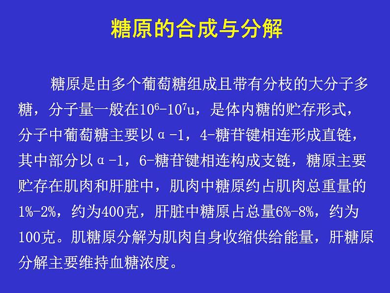 高中生物竞赛糖原的合成与分解课件第2页