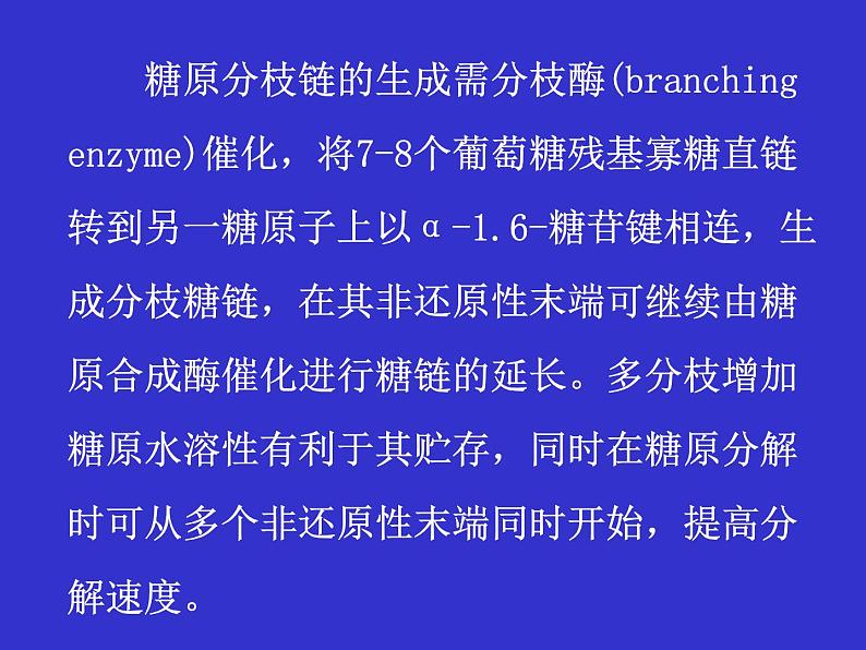 高中生物竞赛糖原的合成与分解课件第7页