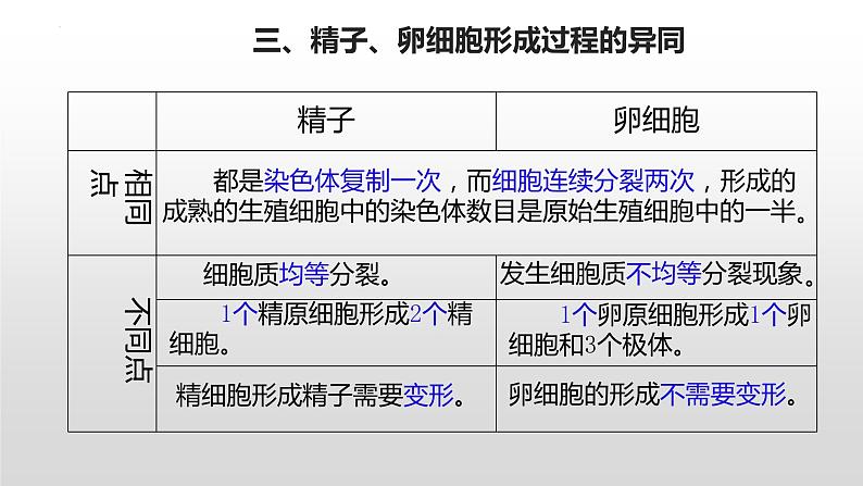 2.1 减数分裂和受精作用 第2课时课件--高一下学期生物人教版必修208