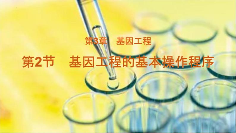 3.2基因工程的基本操作程序课件--高二下学期生物人教版选择性必修3第1页