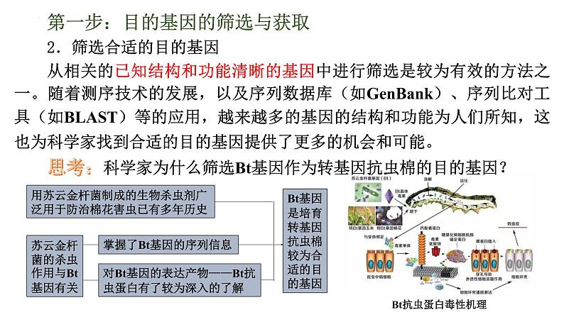 3.2基因工程的基本操作程序课件--高二下学期生物人教版选择性必修3第3页