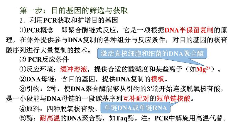 3.2基因工程的基本操作程序课件--高二下学期生物人教版选择性必修3第4页