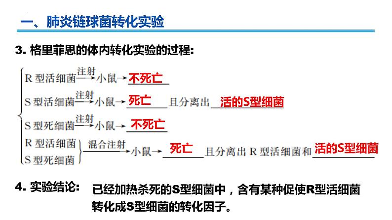 广东省普通高中生物学业水平考试 学考复习课件——必修二第三章基因的本质（第一课时）第4页