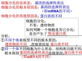 高三一轮复习生物：细胞的分化、衰老和凋亡课件