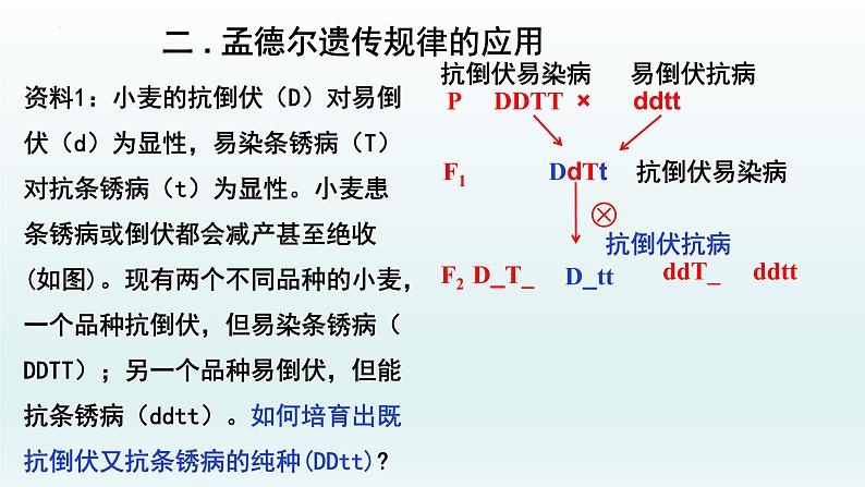 1.1孟德尔的豌豆杂交实验（二）（第2课时）课件--高一下学期生物人教版必修207