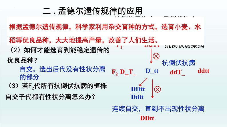 1.1孟德尔的豌豆杂交实验（二）（第2课时）课件--高一下学期生物人教版必修208