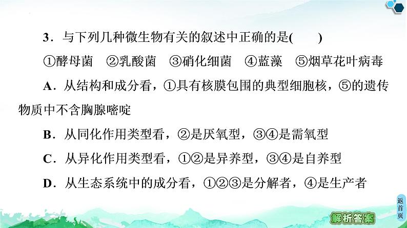 专题1  素能提升课 传统发酵技术的比较--高中生物选修1--同步课件PPT(人教版)第7页