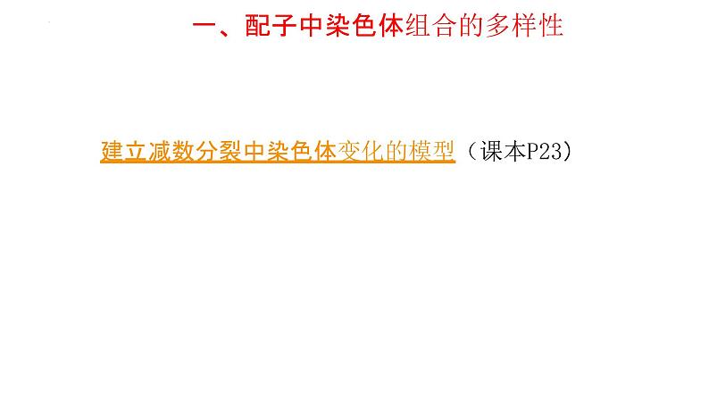 2.1 减数分裂和受精作用课件--高一下学期生物人教版必修208