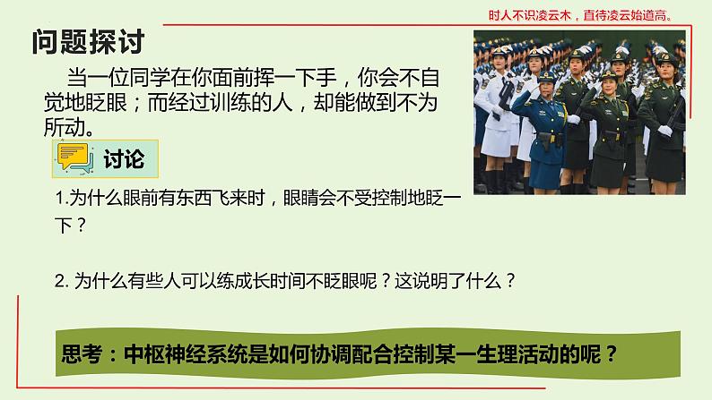 2.4 神经系统的分级调节课件--高二上学期生物人教版选择性必修1第2页