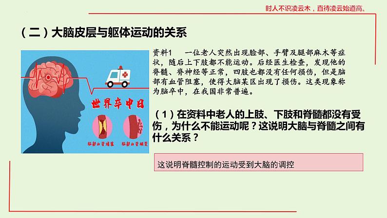 2.4 神经系统的分级调节课件--高二上学期生物人教版选择性必修1第4页